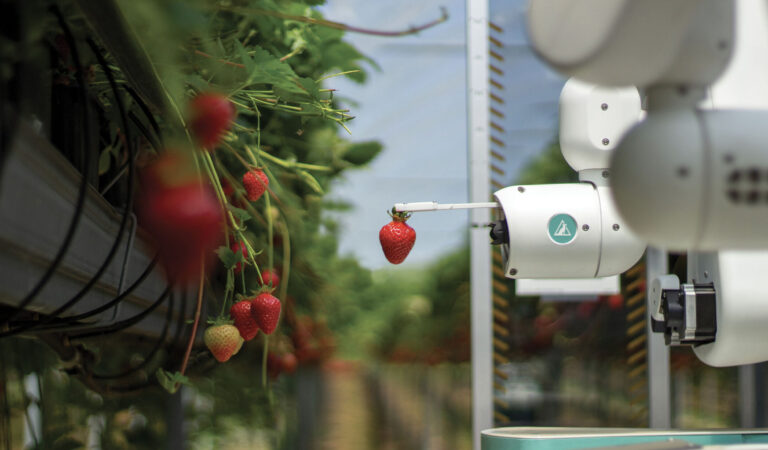 Advanced Fruit-Picking Robots by Dogtooth Technologies Attract £7M Investment Amid Labor Shortages in Agriculture